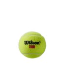 Wilson Tour Premier Clay Tennisball Karton - 72 B&auml;lle 18x4er Dosen - Tour Pro Turnier Meisterschaftsball