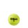 Wilson Roland Garros All Court Tennis Balls - 3 Ball Can - Hobby Amateur Ball Championship