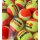 Babolat Orange X36 Bag Tennisbälle - 36 Bälle im Beutel - Kinderball Orange Court Kids Tennis Kinderkurse
