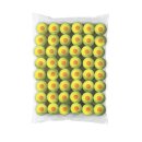 Wilson Starter Orange Kids Tennis Ball - 48 Balls Pack -...