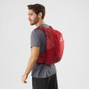 Salomon Trailblazer 20 Backpack - Chili Pepper, Red Dahlia, Ebony