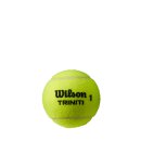Wilson Triniti Tennisbälle 4er Packung - Tennisball mit nachhaltiger Verpackung