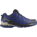 Salomon XA Pro 3D v8 GTX - Trail Running Shoes - Hiking...