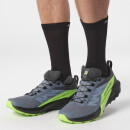 Salomon - Sense Ride 5 GTX Trailrunningschuhe Wasserdicht Gore-Tex- Herren - Flint Stone, Black, Green Gecko