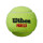 Wilson Padel X3 Padelbälle 3er Dose
