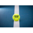 Head Tour Tennisball Karton mit 24 Dosen - 3er Dose - Turnier Meisterschaftsball