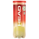 Head Championship Karton 24 Dosen 72 Bälle 3er Dose Tennisbälle
